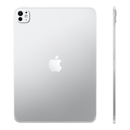 Apple iPad Pro 11" (2025) M5 Wi-Fi + Cellular 256 Gb Silver (eSim)