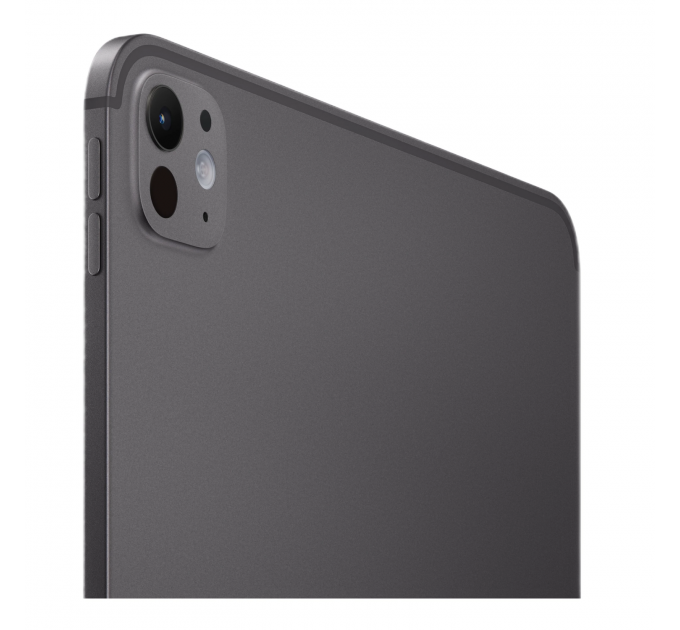 Apple iPad Pro 11" (2025) M5 Wi-Fi + Cellular 256 Gb Black (eSim)