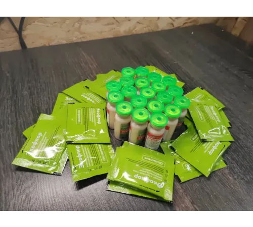 Курс «Иммунитет» - Бифидум баг 2 уп. + 1 уп. Экофлор, Вектор-Биальгам