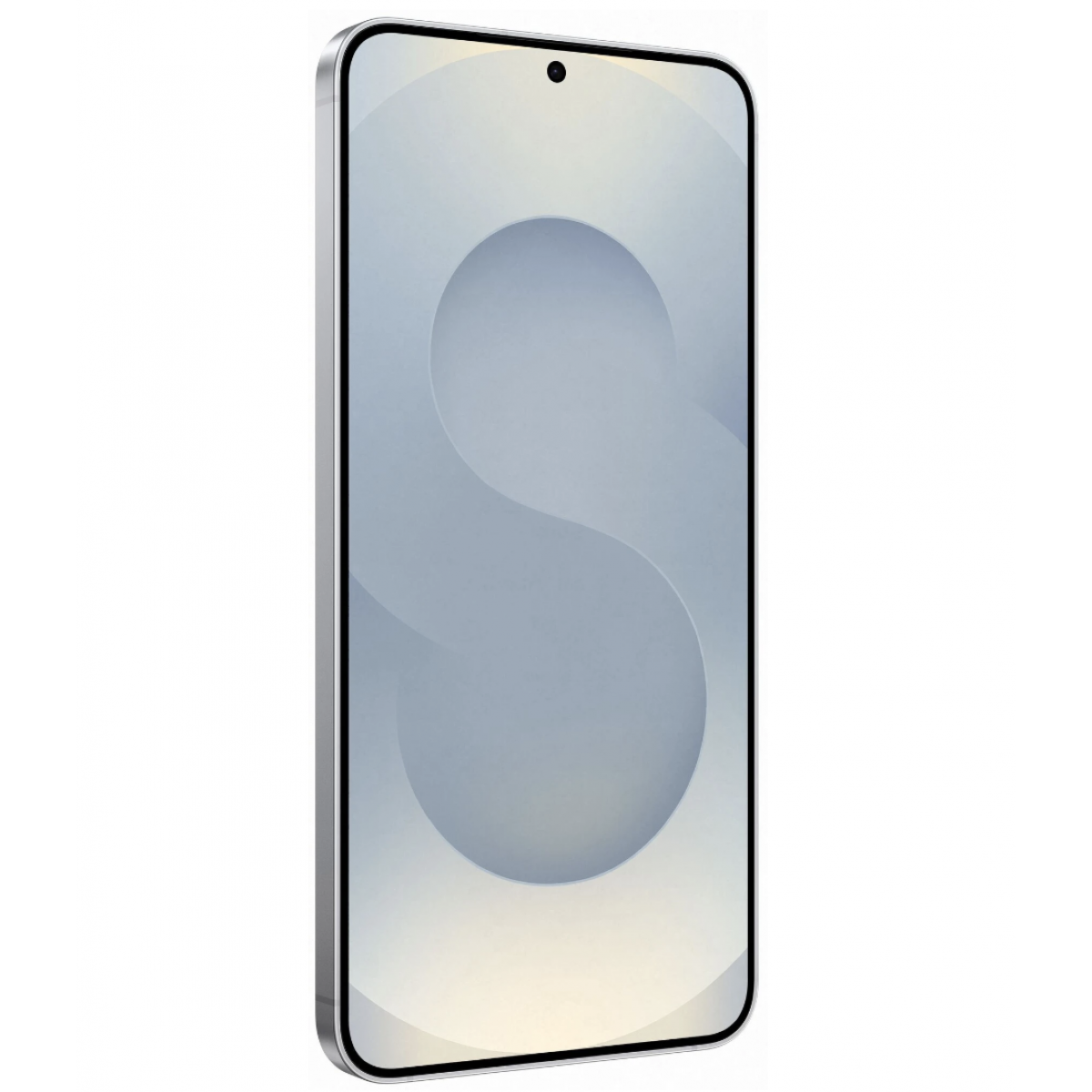 Samsung Galaxy S25 12/256Gb Silver Shadow