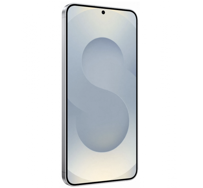 Samsung Galaxy S25 12/256Gb Silver Shadow