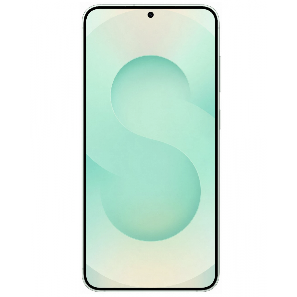 Samsung Galaxy S25 12/256Gb Mint