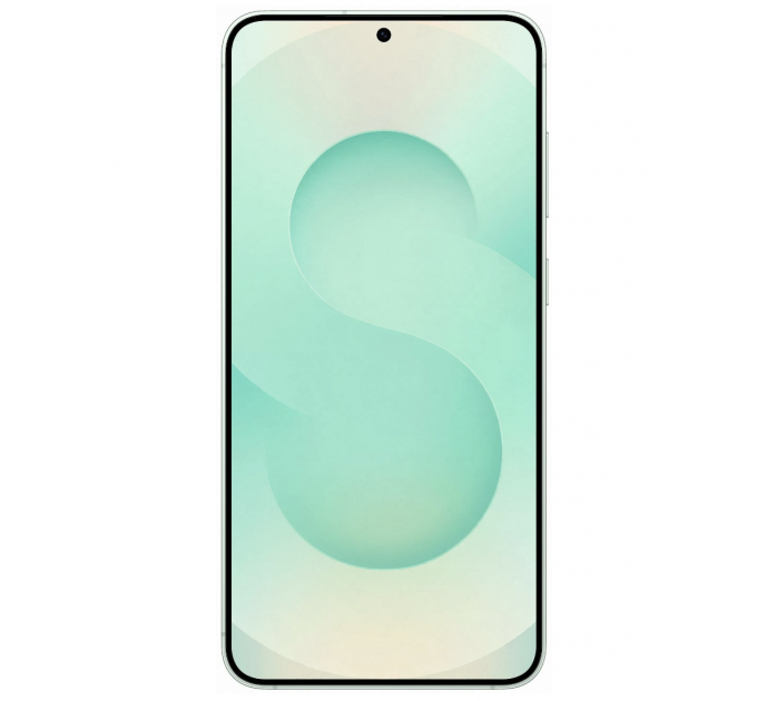 Samsung Galaxy S25 12/256Gb Mint