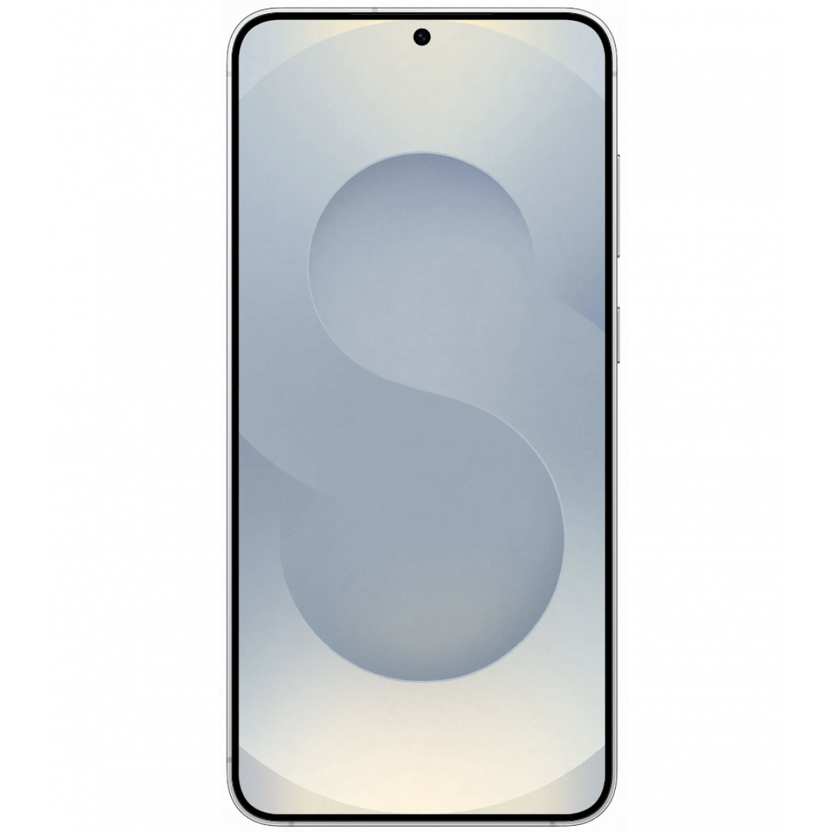 Samsung Galaxy S25 12/256Gb Silver Shadow