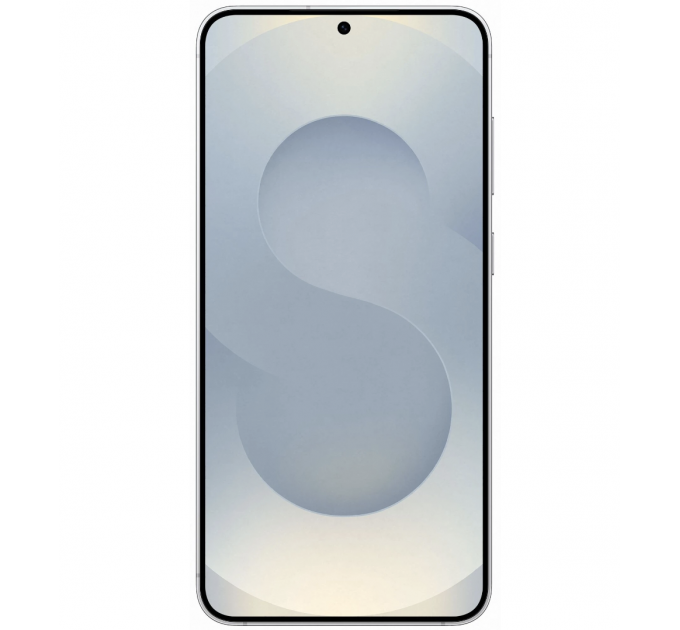 Samsung Galaxy S25 12/256Gb Silver Shadow