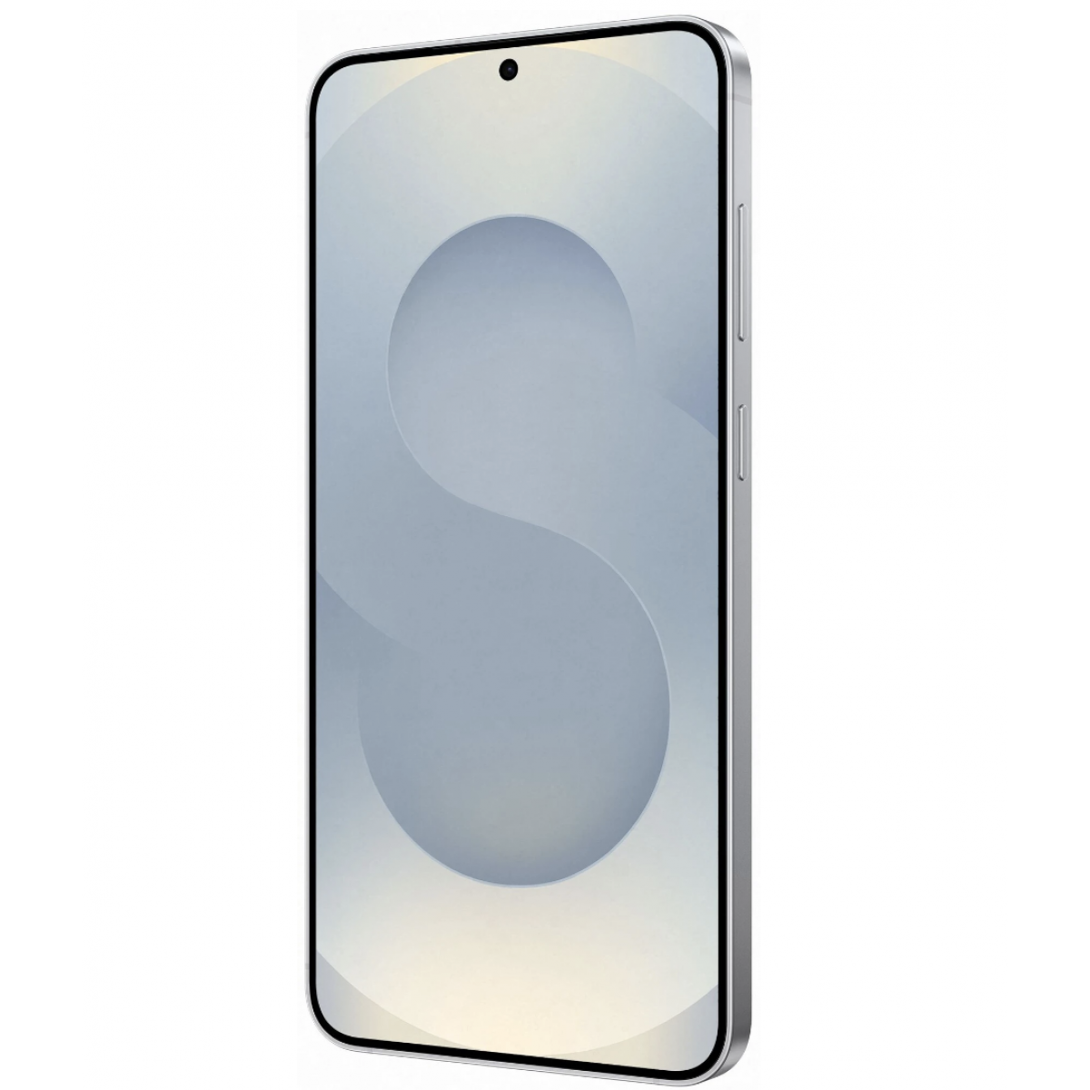 Samsung Galaxy S25 12/256Gb Silver Shadow