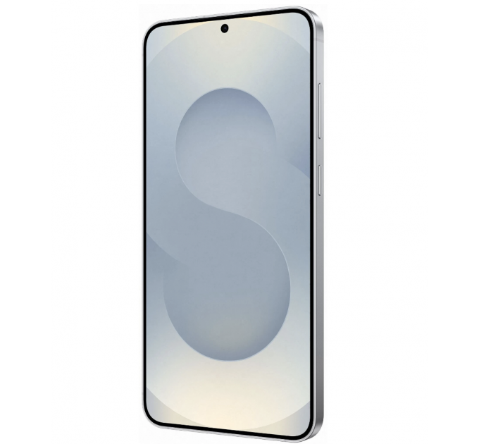 Samsung Galaxy S25 12/256Gb Silver Shadow