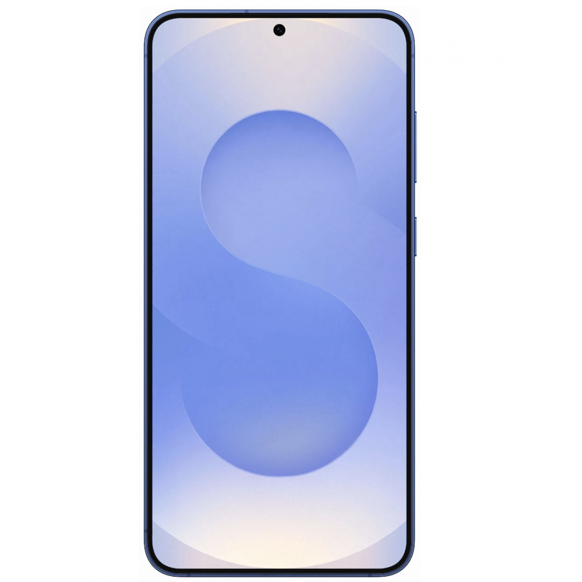 Samsung Galaxy S25 12/256Gb Navy